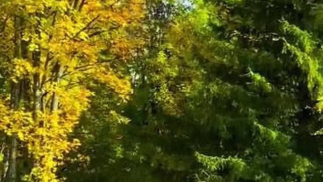 继续续写秋的故事…#秋 #最美的风景在路上