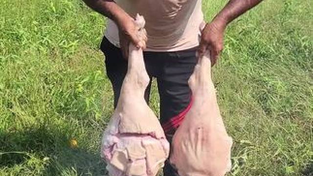 油炸猪腿 #东南亚美食 #农村美食