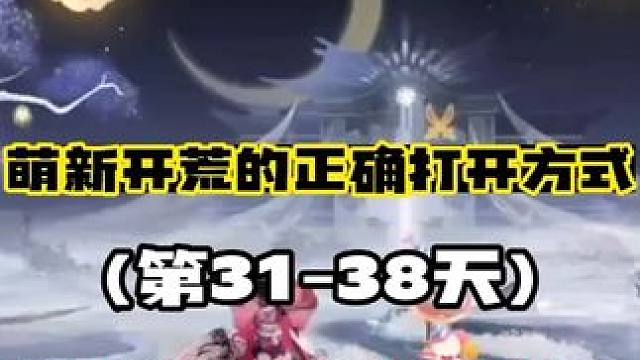【阴阳师】萌新开荒的正确打开方式(31-38天)，二阶段养成重点！
【第二阶段养成重点】
0氪低氪玩