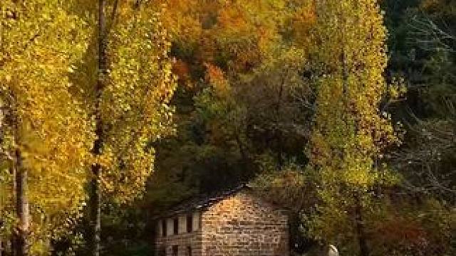 人间朝暮，落叶惊秋，蓦然回首，又是深秋，愿这个秋天，所有的美好如约而至……