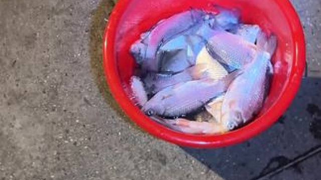 钓鱼人永不空军~