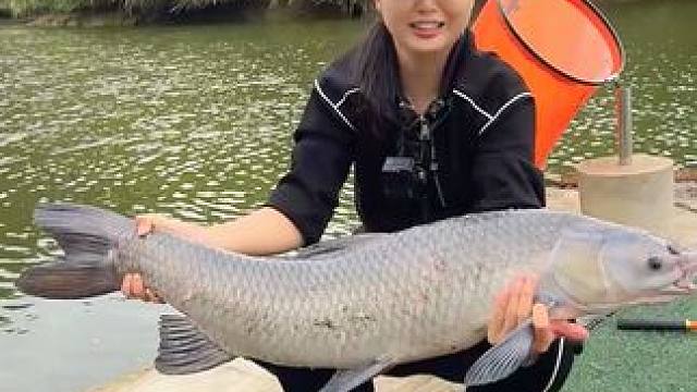 这款佳佳上巨青的路滑杆，你喜欢吗 #钓鱼的乐趣只有钓鱼人懂 #路滑 #佳钓尼