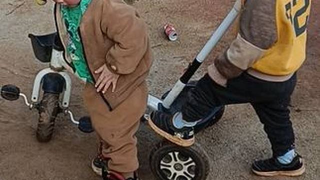 今天小哥俩玩得很好。#欢乐小哥俩