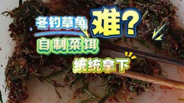 冬季钓草鱼难？自制韭菜拉饵，黑坑野钓统统拿下！ 冬季钓草鱼难？自制韭菜拉饵，黑坑野钓统统拿下！#鱼饵