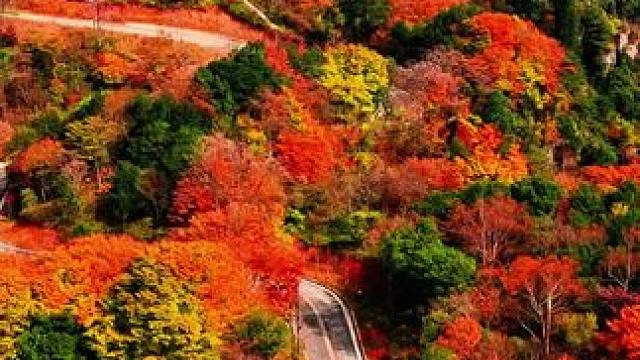 光头山不要门票还可以自驾的景区#旅行推荐官 #一帧中国·大美广元#致广元·物流经济新图景#看身边变化