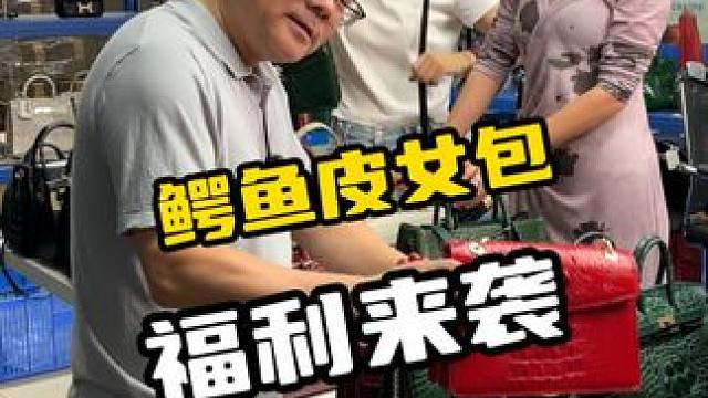 鳄鱼哥双十一独宠女粉专场#鳄鱼 #鳄鱼包 #双11 #好物推荐