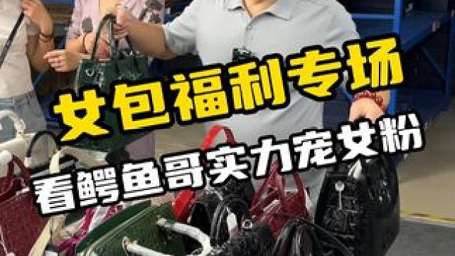 女包福利专场，看鳄鱼哥实力宠女粉#鳄珍 #鳄鱼 #女包 #双十一必买