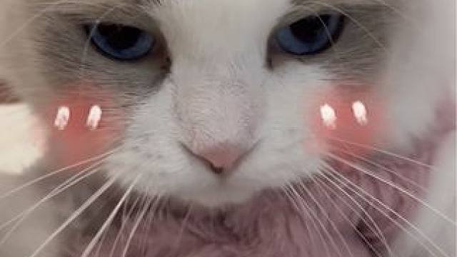 “厌倦了喧闹，就会喜欢简单的东西，不嘈杂，不吵不闹，不说话，默默地陪着你”