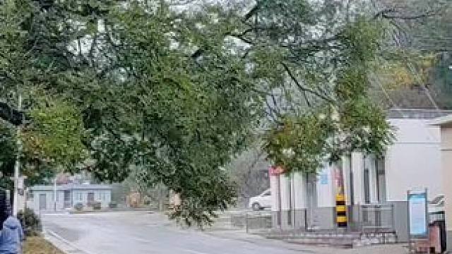 #老家在山区 #人到中年，才发现岁月已无情，美好年华已成往事，剩下的只是无尽的感