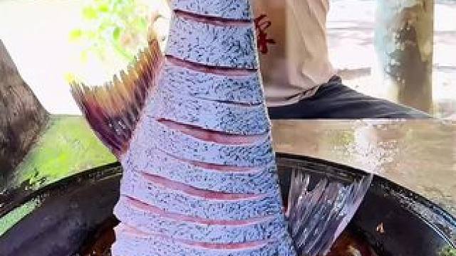 #我的乡村生活 #农村美食 #地方特色美食 
今天这个鱼有点大炖了一半吃鱼还得是大的香啊