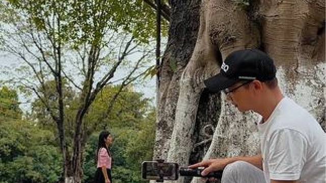 “我忍不住回头望一望身后，那是山丘一样的路……”秋天的落叶试试这样拍，简单几个镜头拍唯美小短片#手机