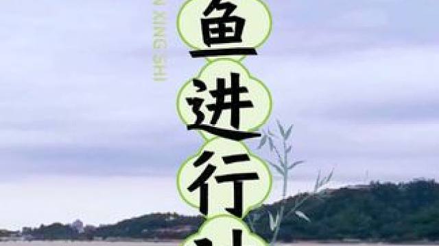 唐家湾海上捕鱼作业 早上遛弯时拍到海上渔民在捕鱼作业#带你去体验渔民的生活