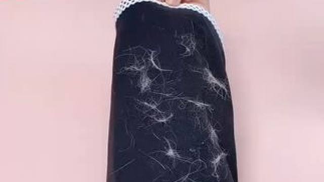 神奇的粘毛器!不仅能轻松清理头发和猫猫狗狗掉落的毛发，水一冲就干净能继续用了 #粘毛神器  #养猫人