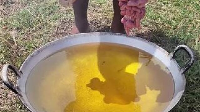 东南亚雷斯大叔做美食 #东南亚美食 #我的乡村生活 #乡村美食