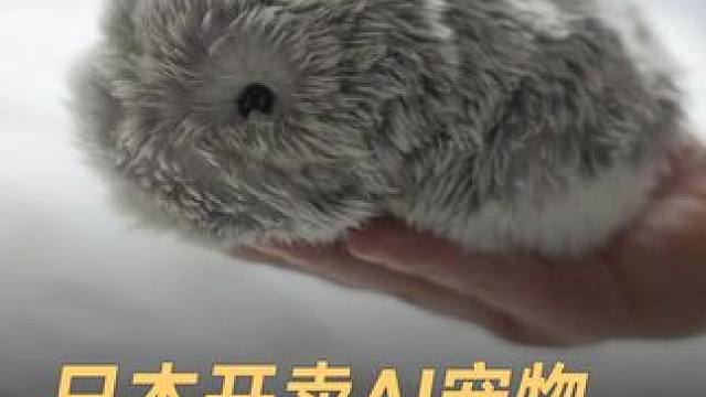 日本开卖AI宠物，外观呆萌 售价2800 #AI  #宠物  #人工智能  #科技  #日本