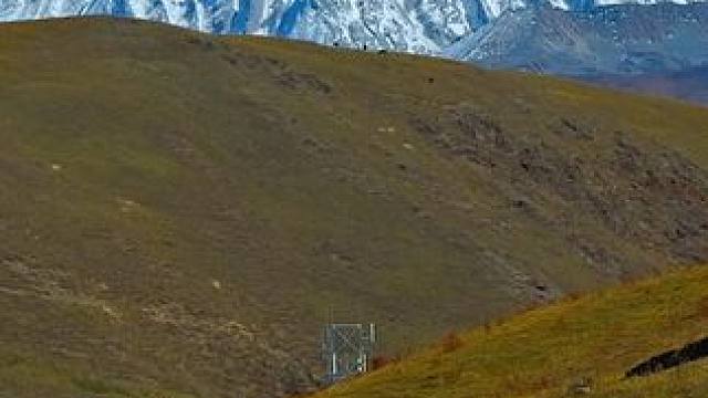 国道248四川甘孜州道孚县段沿途秋色 #最美的风景在路上 #旅行推荐官 #川西 #亚拉雪山