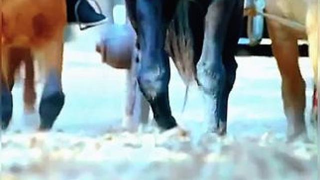 《西瓜视频》，观看精彩后续《西瓜视频》，观看精彩后续《西瓜视频》，观看精彩后续《西瓜视频》，观看精