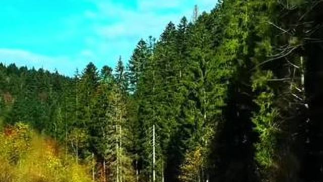 #秋天 #秋高气爽天高云淡 #风景都在路上