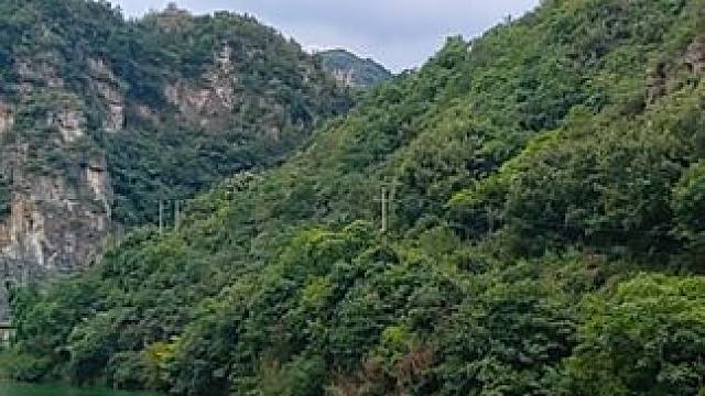 浮戏山大峡谷 #河南刚哥#随拍#志刚在路上