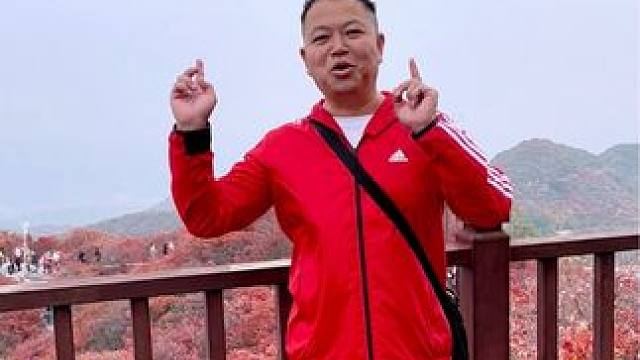 长寿山 #河南刚哥 ##秋天的专属微醺 #相册里的秋冬氛围 #把秋日落叶拍出氛围感 #长寿山