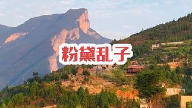 以草为名，比花还美，这就是秋天唯美浪漫的粉黛乱子草！#三峡第一村 #航拍奉节 #宣传家乡旅游文化