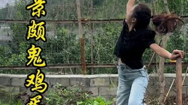 每天教大家做菜，今天就来来种菜吧。 
#新农人计划2024 #我的农村生活 #双凤