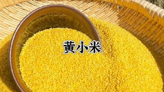 #黄小米 2024年今年刚刚上市的糯黄小米，米油浓厚，米香味十足，保证是今年的新小米！好