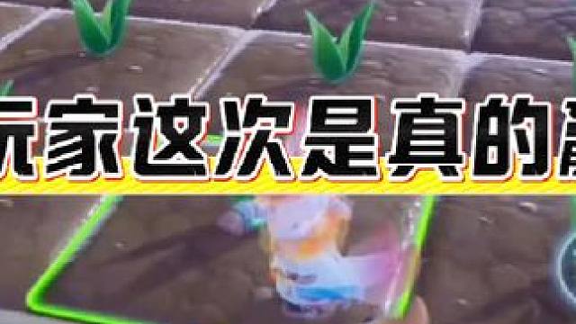 农场玩家这次是真的赢麻了#元梦之星 #元梦之星星语星愿赛季 #元梦农场人的精神状态 #星宝养狗日记 