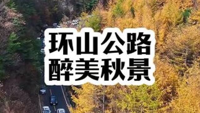 为了看几颗烂树，就堵了几公里（视频直出，没有调色没有加滤镜） #分水岭秋景 #每一帧都是热爱 #旅行