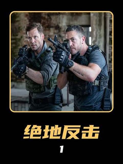 如果一生只能看一部动作美剧,《反击》绝对是我的唯一选择 #战争电影