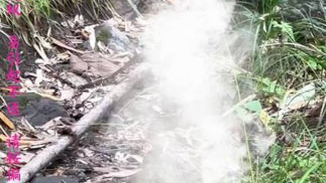 蛇界一哥，险些被老鼠拿捏了，你敢信？#蛇 #现场实拍 #野生动物零距离 #真实户外