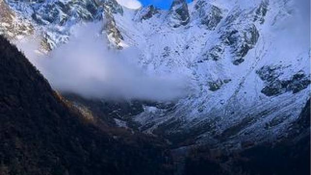 行走在雪山 彩林 蓝天白云之间，如在画中行，让人心驰神往，见证大自然的无尽魅力，秋天还有多少隐藏的美