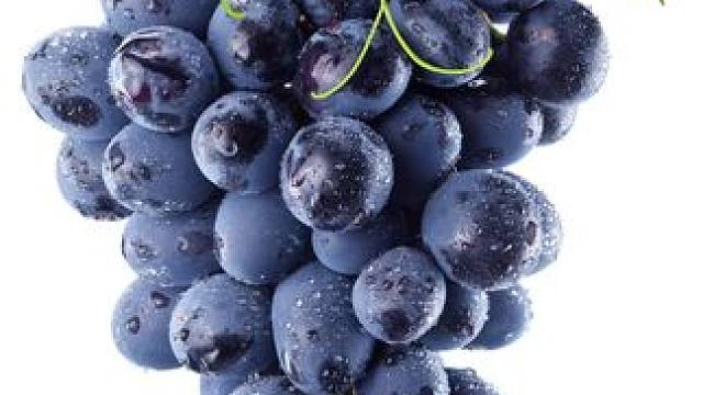 万万没想到清洗葡萄干的水会这么脏，看完加工过程你还敢吃吗？#葡萄干 #零食推荐 #科普