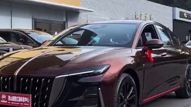 比它帅的没它快 比它快的没它帅  #红旗H6