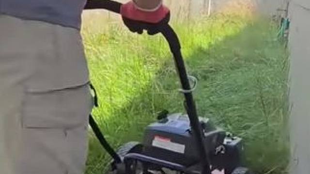 除杂草 #国外视频分享 #解压 #除杂草