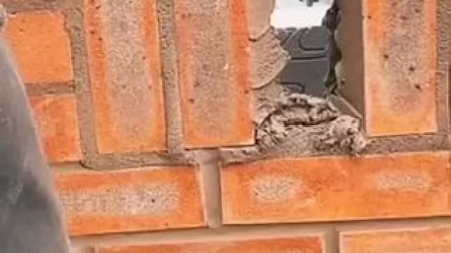 放置最后一块砖！ #dou上热门 #是时候展现真正的技术了 #施工现场实拍