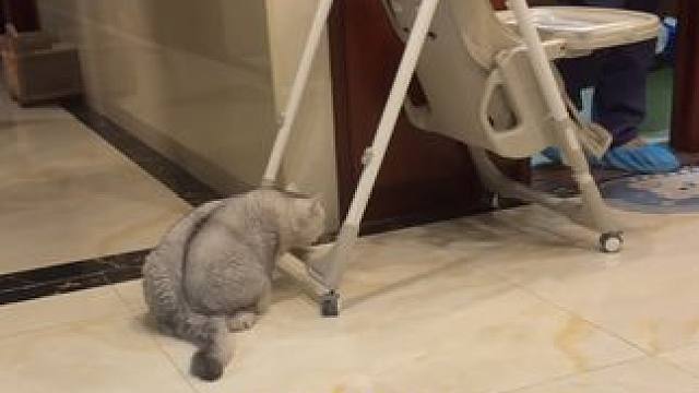 当家里来了陌生人…阿b 