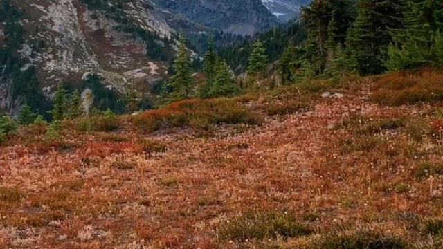 西班牙特拉蒙纳山
