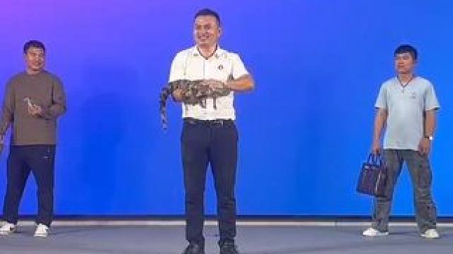 养了一年的鳄鱼，必须那就来展示一下，哈哈哈