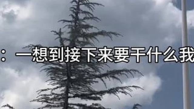 出乎意料的菠萝哈哈哈#广播剧 #奇洛李维斯回信 #赵声阁陈挽 #孙路路刘思岑