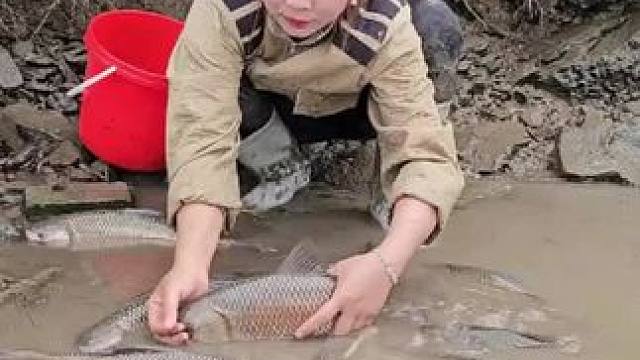 抽水抓鱼#荒野建造 #我的乡村生活 #农村生活 #野外生存