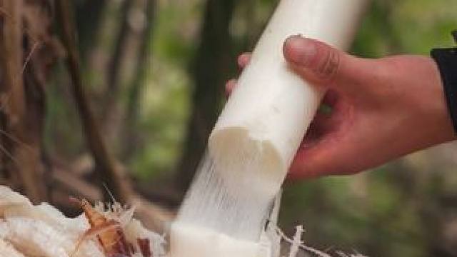 #原生态原滋味 #大自然的馈赠 #大山里的味道 