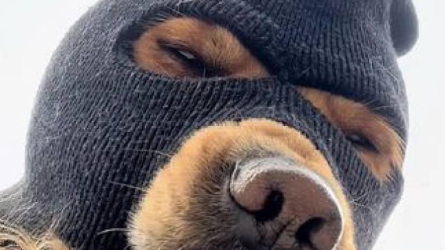 果本电竞单人包 至尊单人包
540hz显示器
4090显卡
欢迎大家来体验
#人气网吧推荐 
#这店