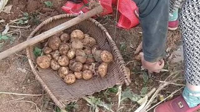 我发布了一个新视频，快来围观吧！