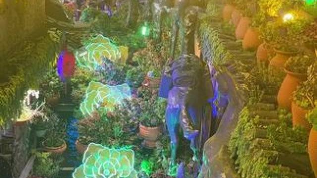 你不花他的钱他怎么能心疼你，你陪他吃苦，他认为你只配吃苦，钱是什么，钱事男人的命，你不要他的命，他怎