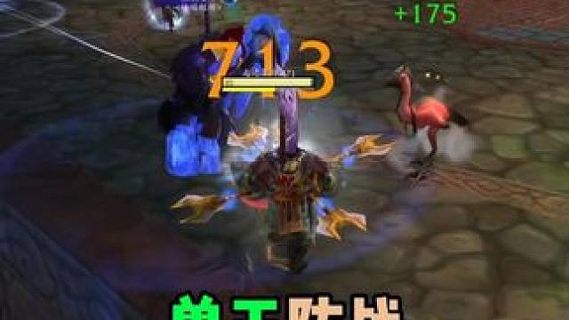 兽王加防战 22竞技场 最适合打什么职业  #巫妖王之怒 #魔兽世界 