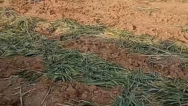 从后面跳上去在爬上车头