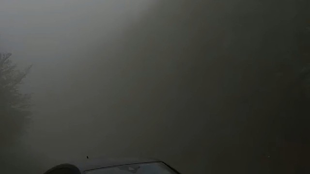 早知道奥迪这么帅当初就不应该买雅迪