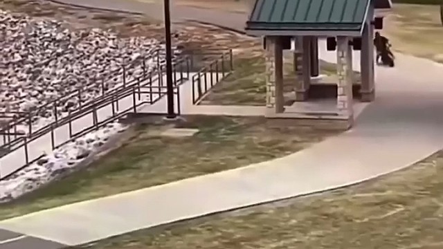 警车追逐自行车