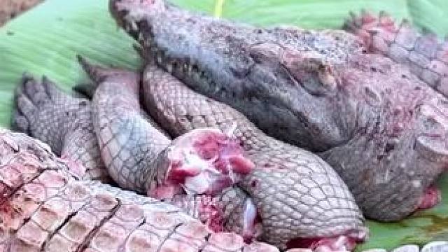 东南亚原始美味 #原始美味 #农村美食 #农村生活 #我的乡村生活 #乡村新农人